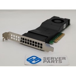 Dell Storage Adapter 2xM.2 NVMe PCIe NTRCY med 1x1TB NVMe SSD